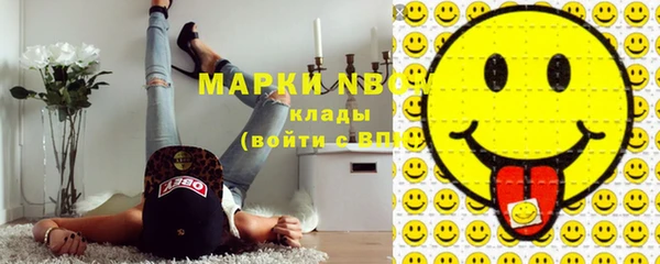ГАЛЛЮЦИНОГЕННЫЕ ГРИБЫ Тавда