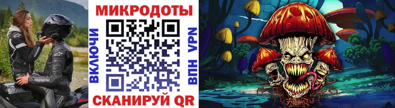 Псилоцибиновые грибы Psilocybe  что такое   Приозерск 